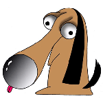 大きな鼻のビーグル犬