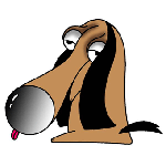 大きな鼻のビーグル犬